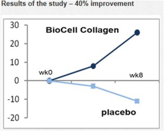 Bio Collagen Study Graph